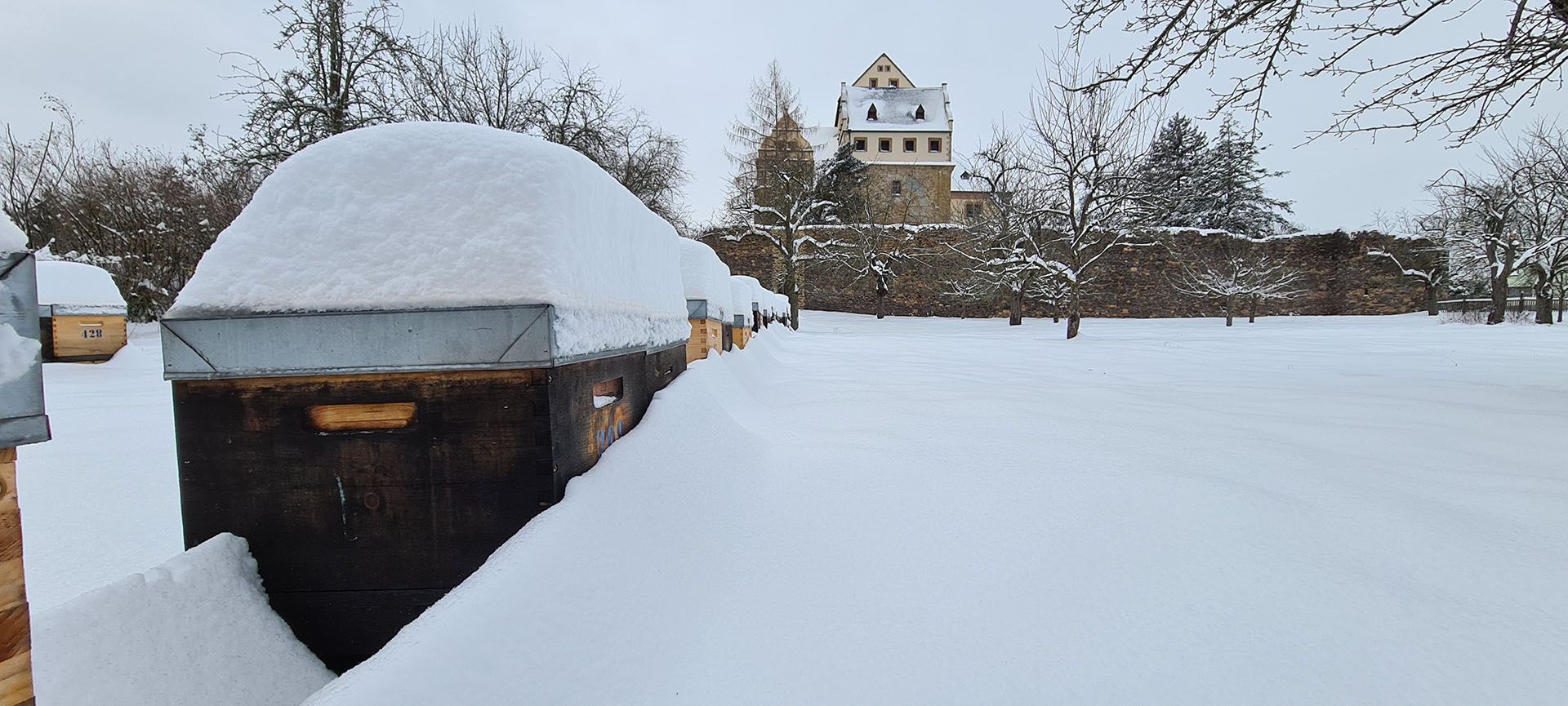 schneereicher Winter 2021