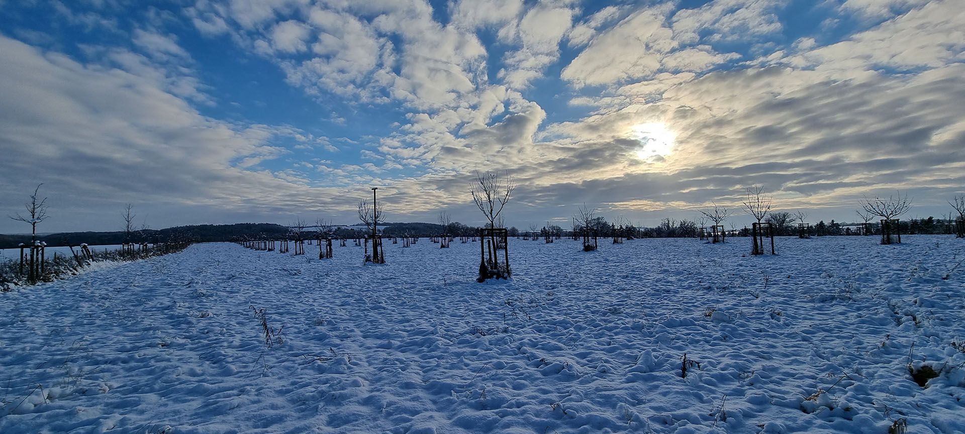 Streuobstwiese im Winter 2022