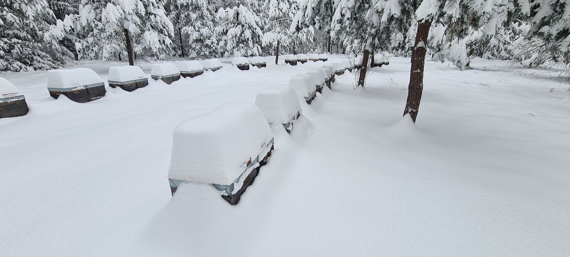 Völker tief im Schnee im Winter 2021